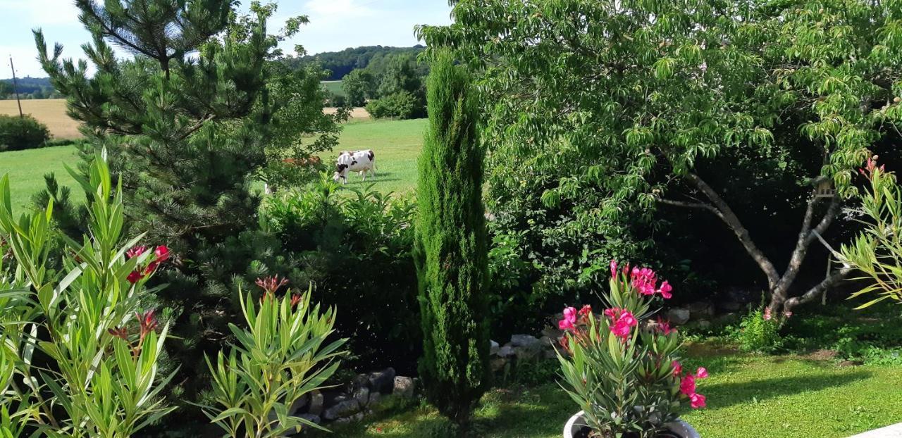 La Villanelle Maison D'Hotes Pelousey Kültér fotó